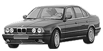 BMW E34 P0169 Fault Code